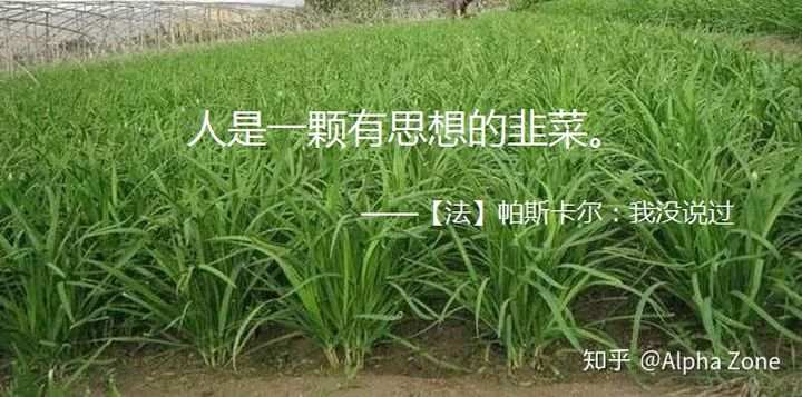 985学历的人做期货是一种怎样的体验？