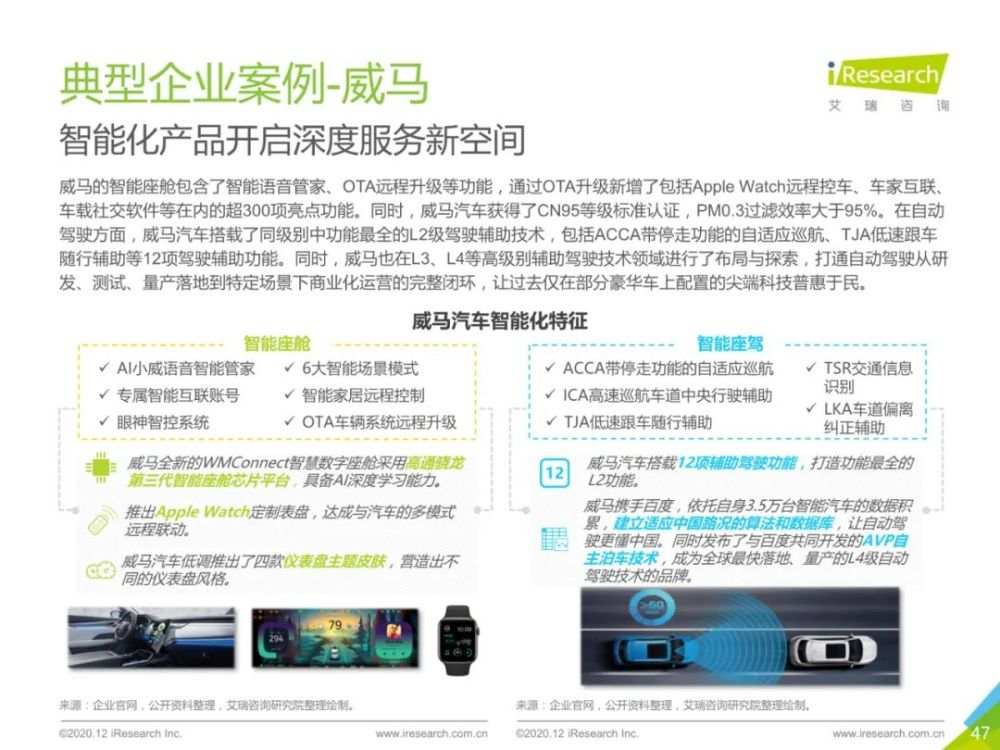 2020年中国新能源汽车行业报告