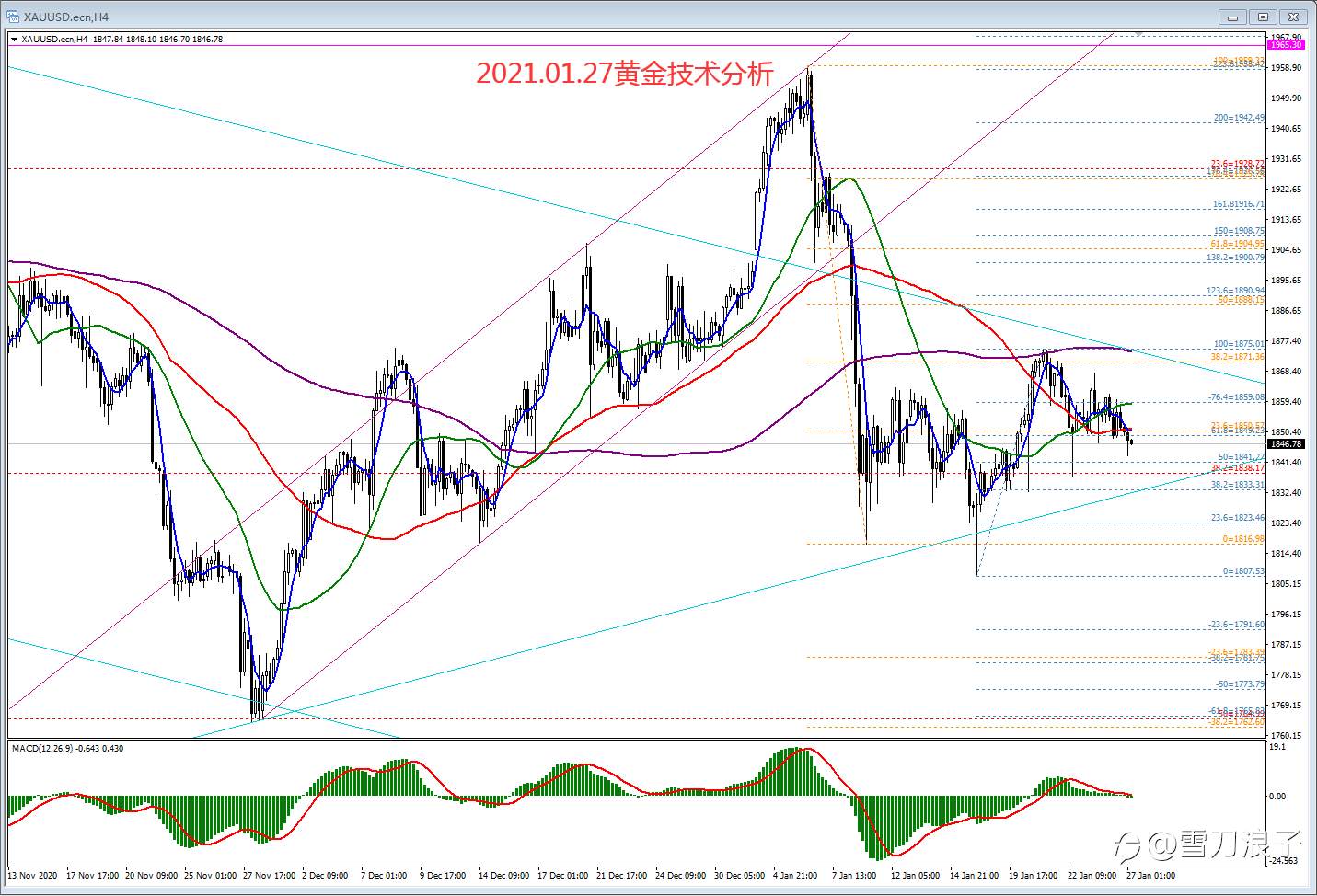 2021.01.27黄金技术分析