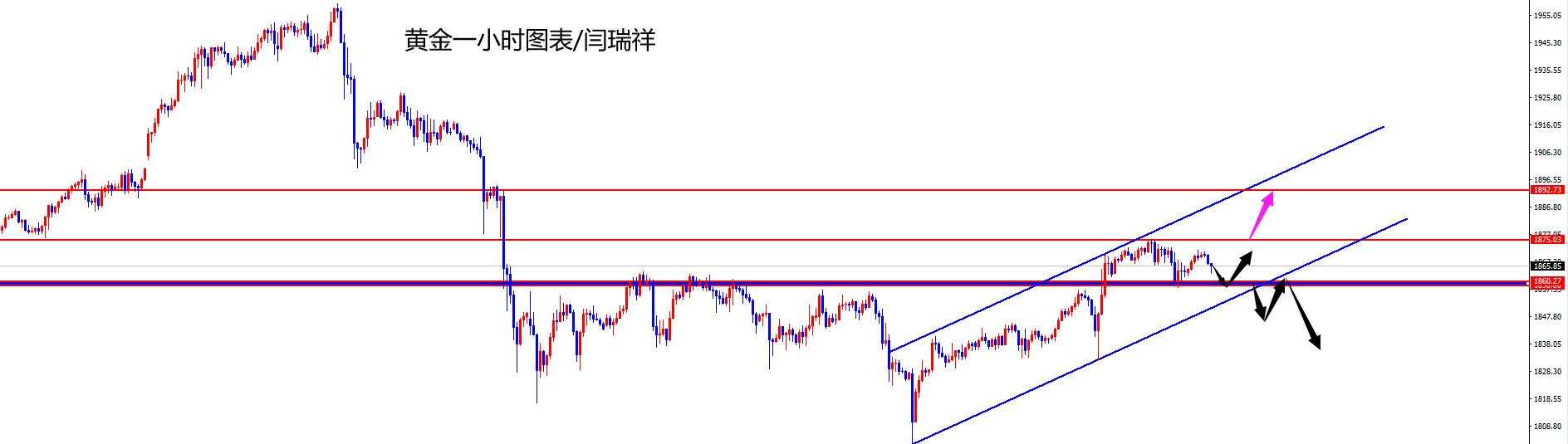 闫瑞祥：黄金1860区域先多同时谨防冲高回落，欧美持续多