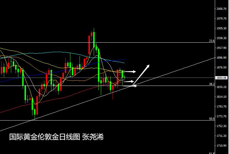 张尧浠：黄金迈入拜登时代、本周偏看震荡上行