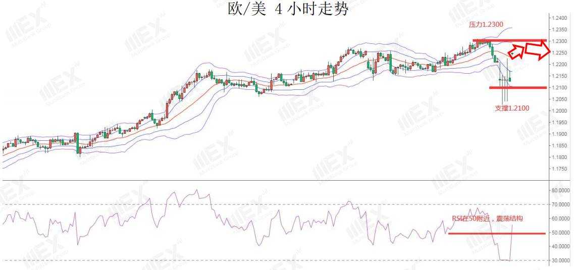 MEXGroup：每日快讯 |黄金突破1900，2021年第一周，OPEC+会议和非农来袭