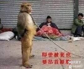 我始终觉得资金管理很重要