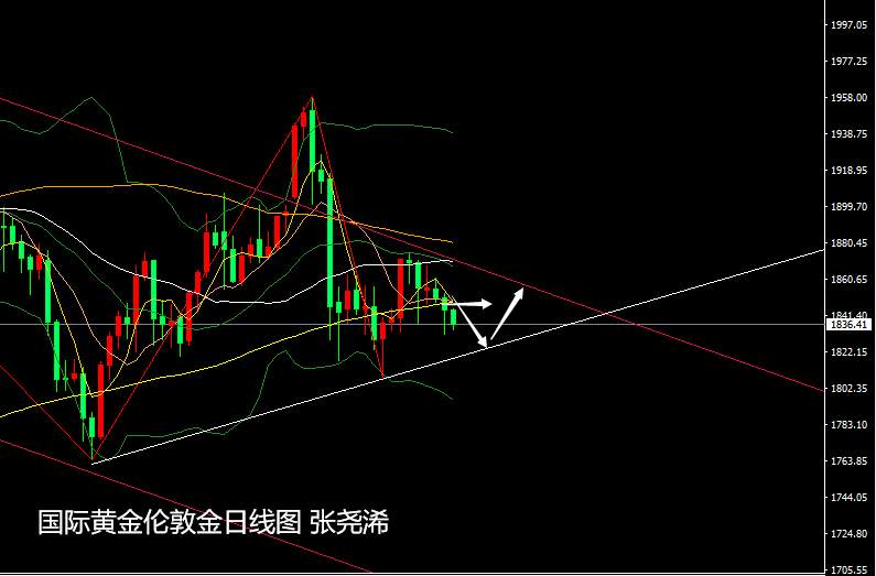 张尧浠：稳鸽之言美股遭抛、黄金受累美元反涨先空后多