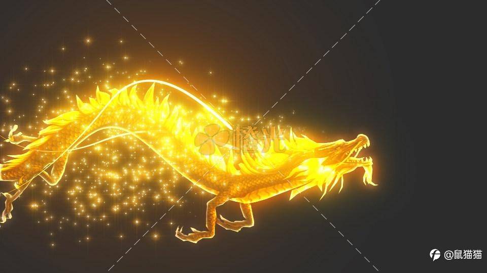 非农or飞龙，大赛最后几天是否还有黑马出现？