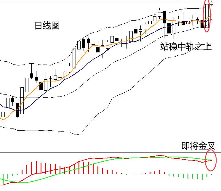 四季：沙特送来新年礼物，WTI突破50关口
