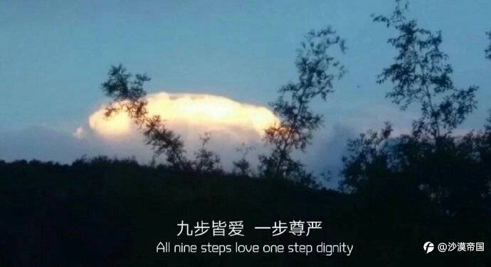 2021.1.11每日交易策略