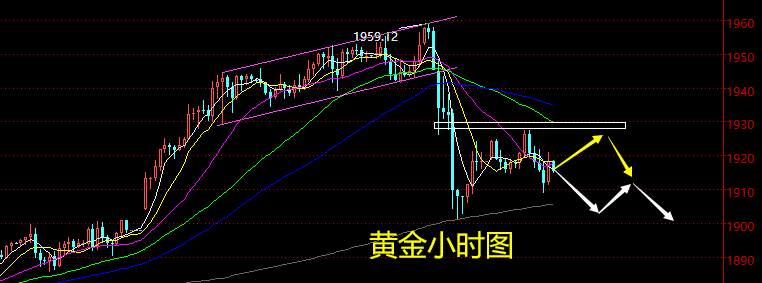 老黑策略：1.7晚盘外汇、黄金、原油分析策略