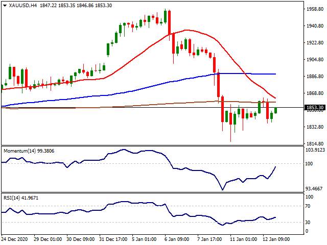 Daily Market Report - 13th Jan 2021