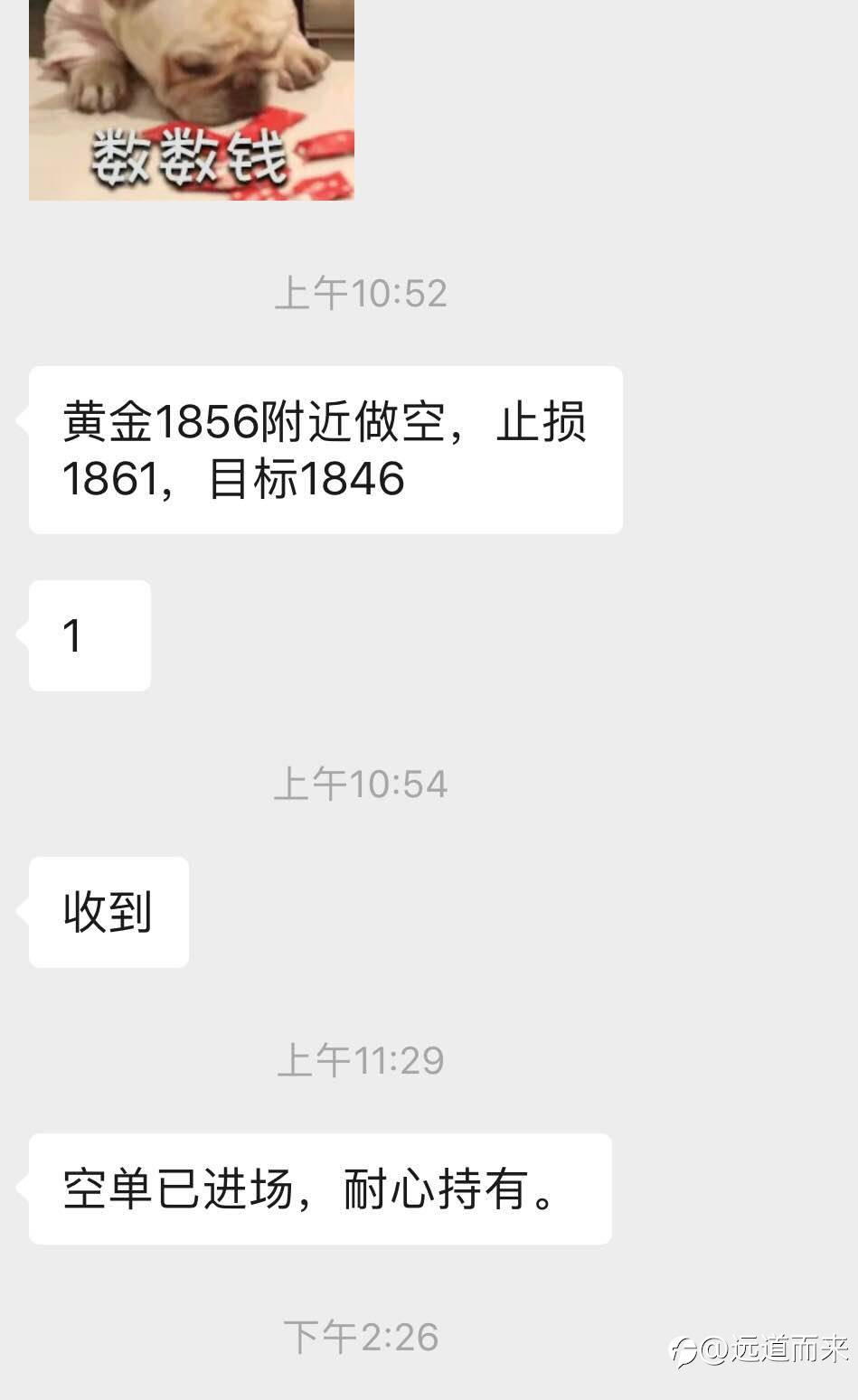 feed-image-0