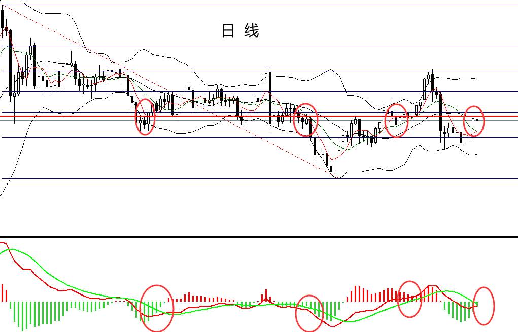 四季：今天的小金子能不能让我快乐