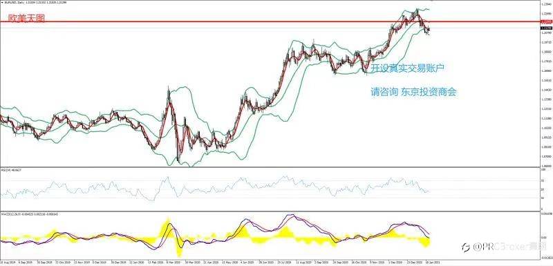 PRCBroker：2021年01月21日 今日汇评