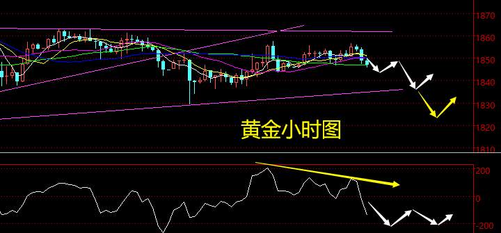 老黑策略：1.15晚盘外汇、黄金、原油分析策略