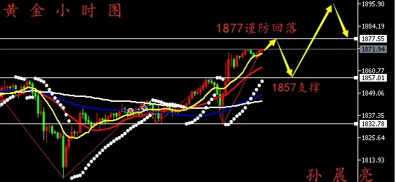 孙晨亮：1.21晚间黄金走势分析丨原油操作建议附解套
