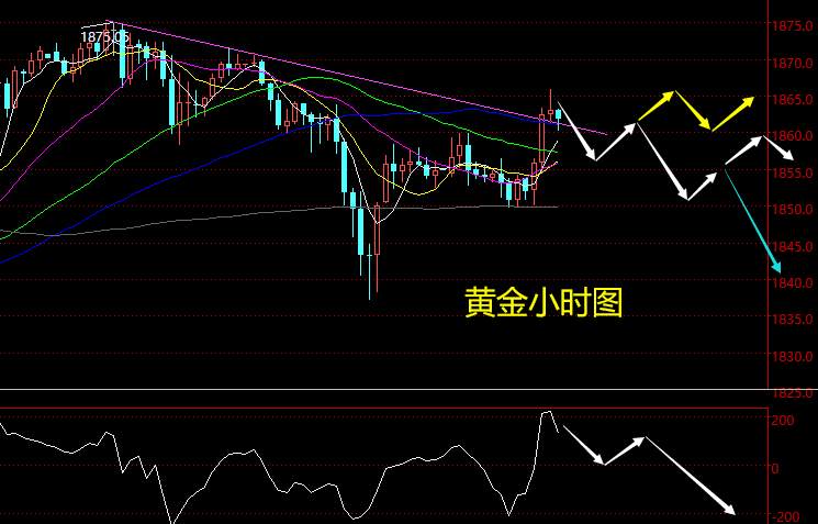 老黑策略：1.25晚盘外汇、黄金、原油分析策略