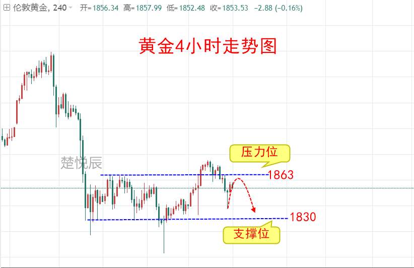 楚悦辰：1.24刺激法案恐难通过，黄金再次下跌概率较大