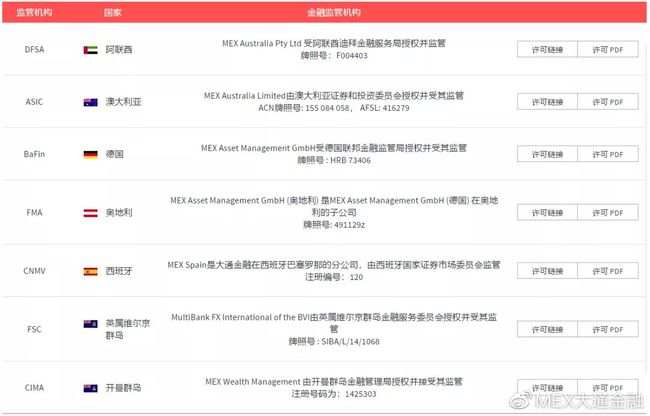 MEXGroup：光影回顾 | “数”说大通，共赴新里程