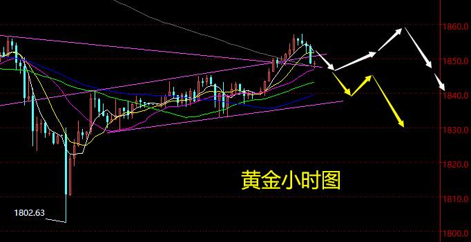 老黑策略：1.20晚盘外汇、黄金、原油分析策略
