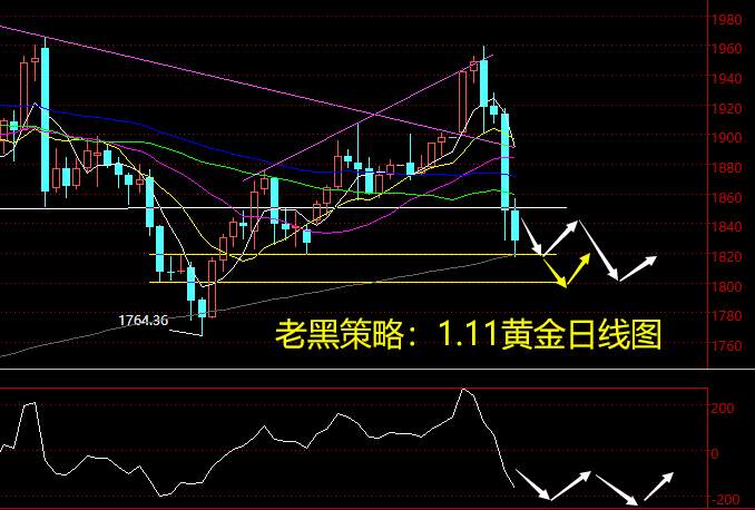 老黑策略：1.11黄金分析策略