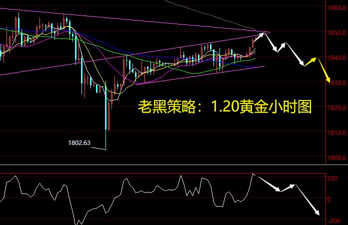 老黑策略：1.20黄金分析策略