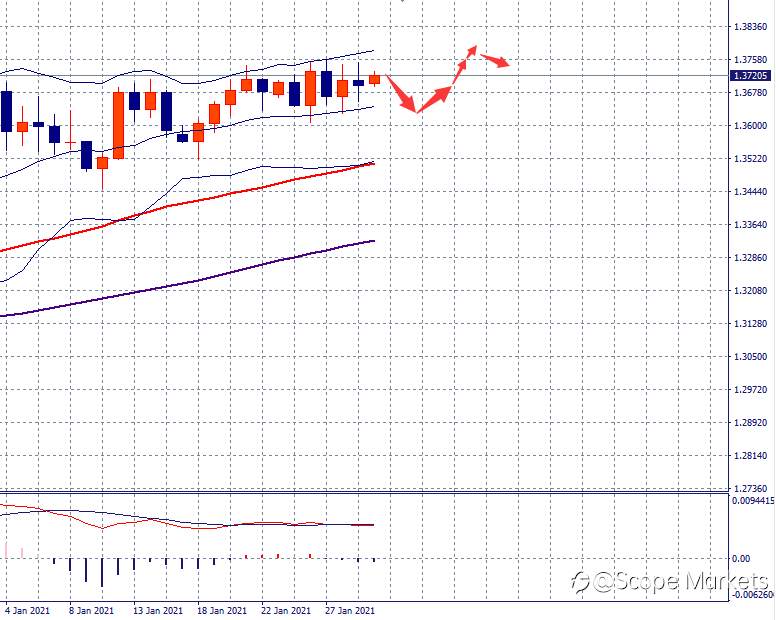 SCOPE MARKETS【市场周评】丨2021.02.01