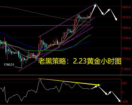 老黑策略：2.23黄金分析策略