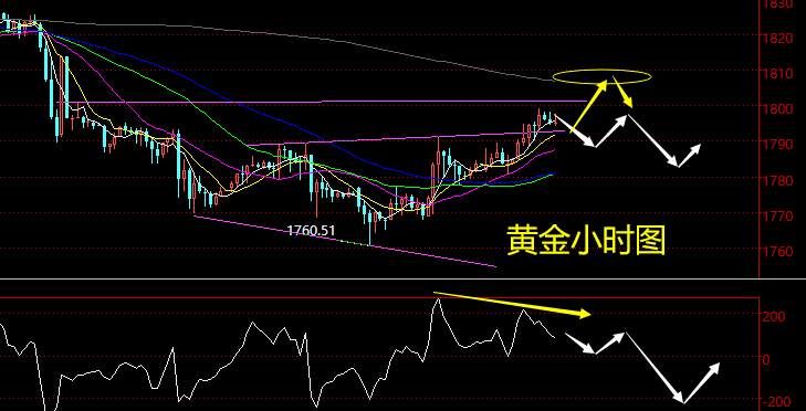 老黑策略：2.22晚盘外汇、黄金、原油分析策略