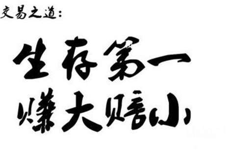 楚悦辰：币圈投资如何才能盈利？关键是要学会止损