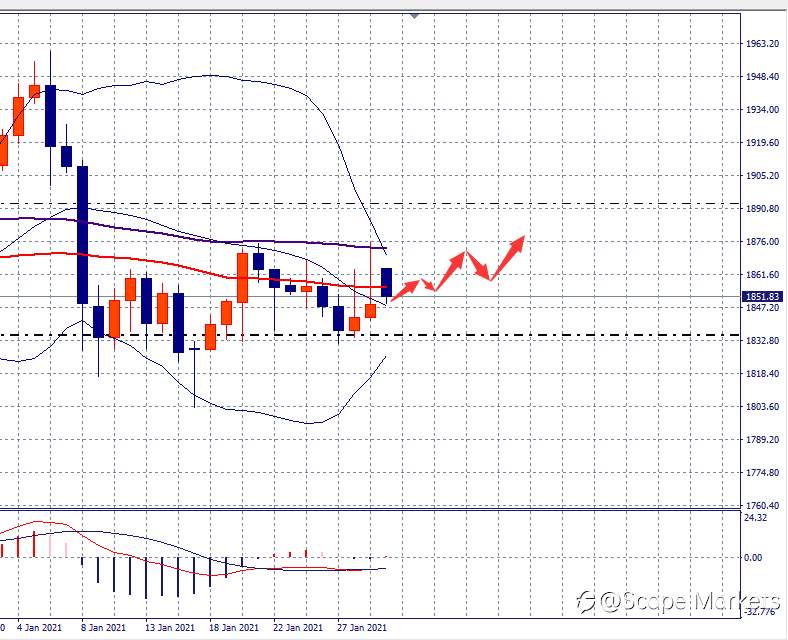 SCOPE MARKETS【市场周评】丨2021.02.01