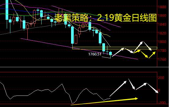 老黑策略：2.19黄金分析策略