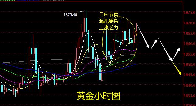 老黑策略：2.1晚盘外汇、黄金、原油分析策略