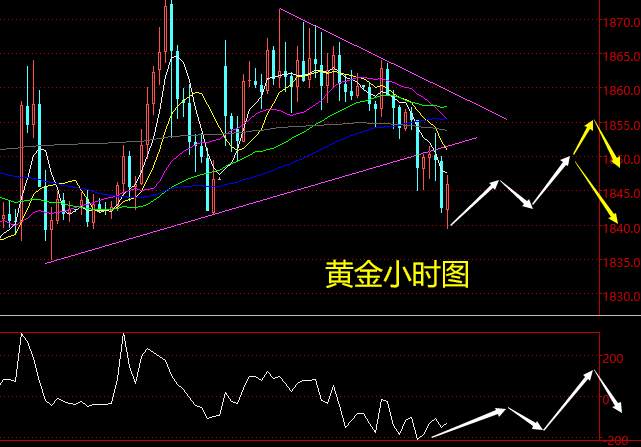 老黑策略：2.2晚盘外汇、黄金、原油分析策略