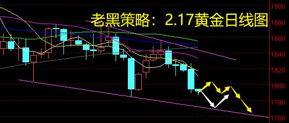 老黑策略：2.17黄金分析策略