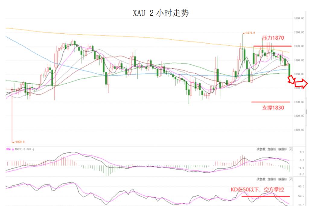 MEXGroup：晚间简报2021-02-02