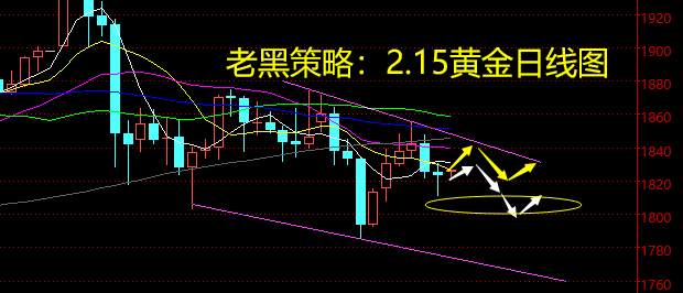 老黑策略：2.15黄金分析策略