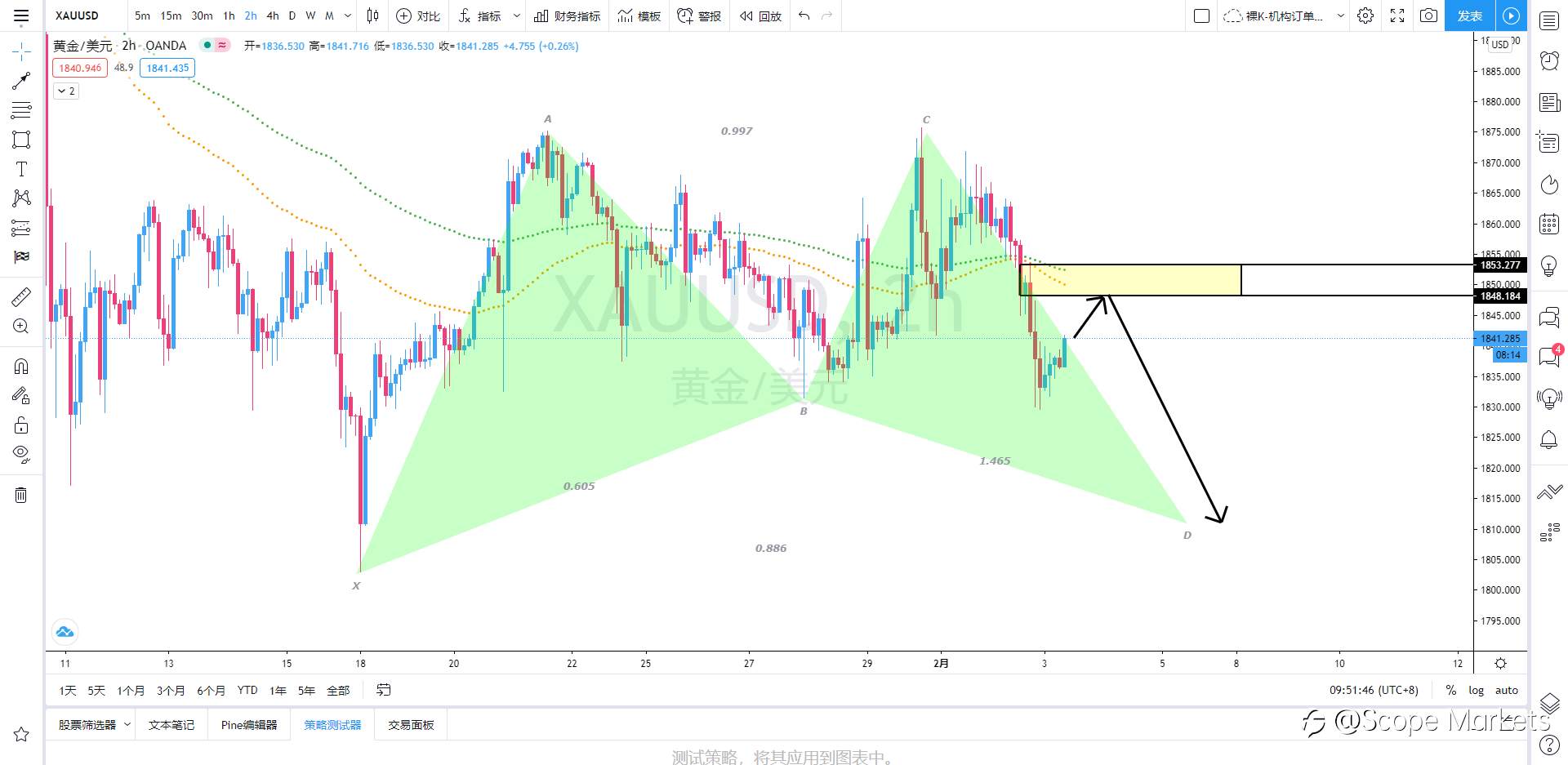 SCOPE MARKETS【策略研报】丨2021.02.03