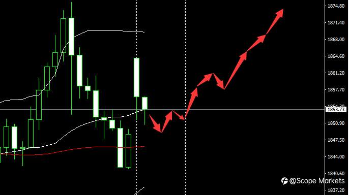 SCOPE MARKETS【市场早评】丨2021.02.01