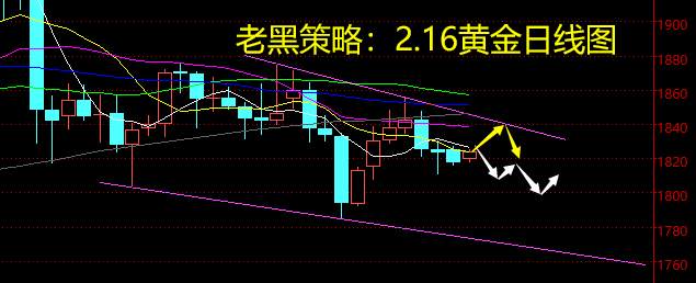 老黑策略：2.16黄金分析策略