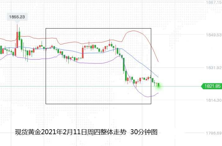 张尧浠：牛年大吉、黄金如期遇阻回撤再看延续