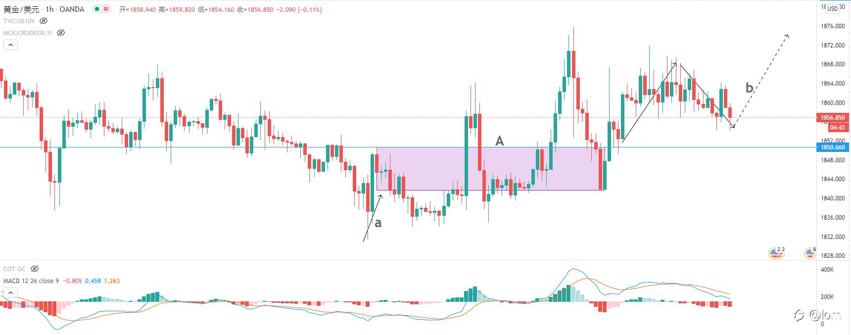 【Gold TC 02/02】白银期现价差大幅扩大显套利机会，黄金波动谨慎