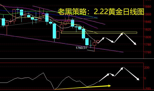 老黑策略：2.22黄金分析策略