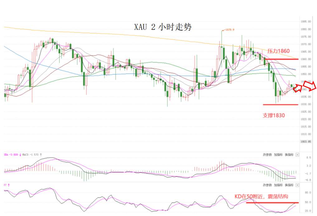 MEXGroup：晚间简报2021-02-03