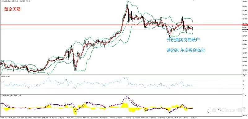PRCBroker：2021年02月03日 今日汇评