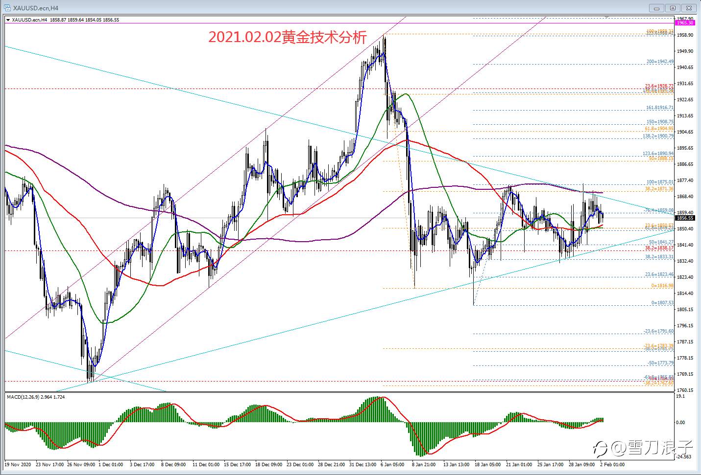 2021.02.02黄金技术分析