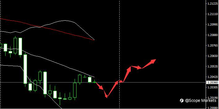 SCOPE MARKETS【市场早评】丨2021.02.03