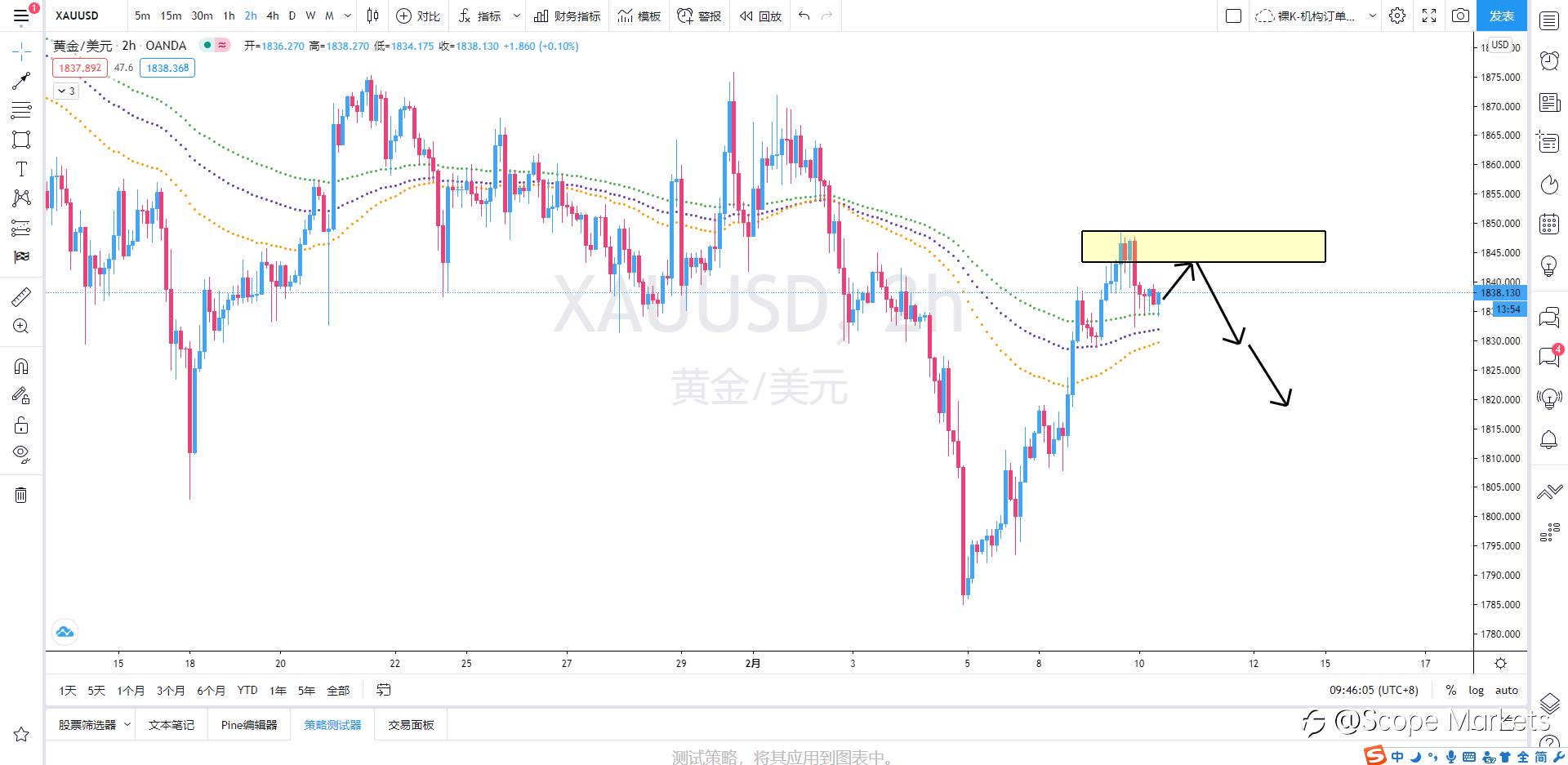 SCOPE MARKETS【策略研报】丨2021.02.10