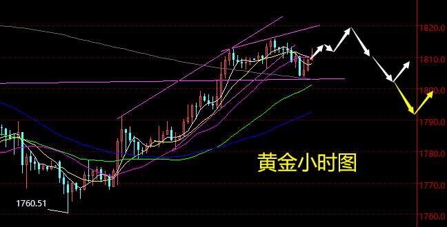 老黑策略： 2.23晚盘外汇、黄金、原油分析策略