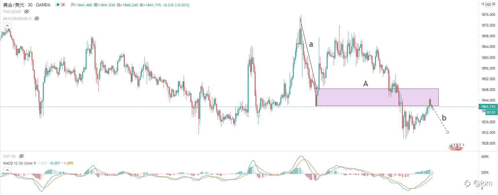 【Gold TC 03/02】GME/XAG相继哑火，FED官员再提退出政策，黄金宽幅震荡