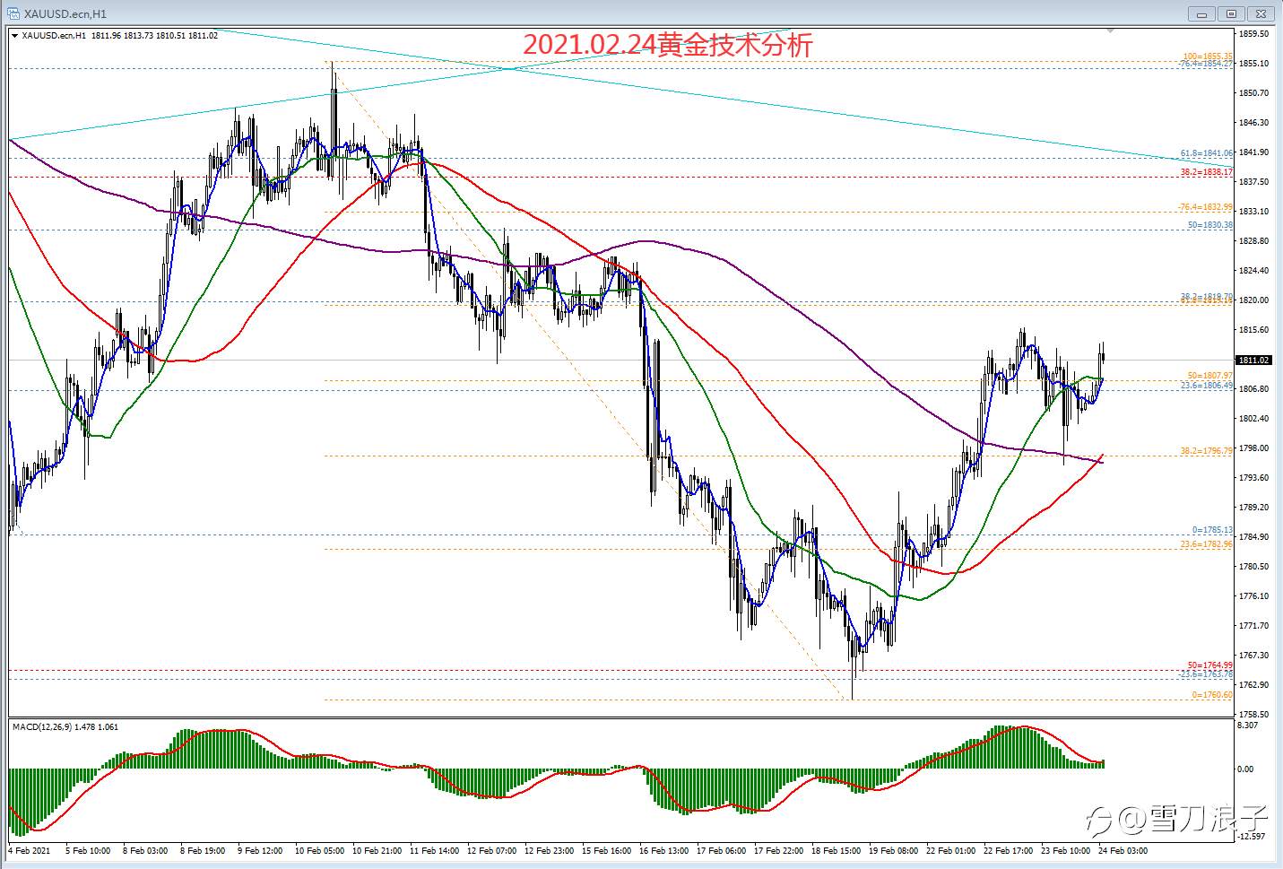 2021.02.24黄金技术分析