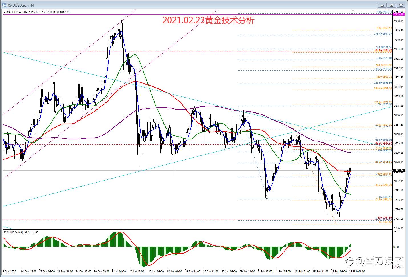 2021.02.23黄金技术分析